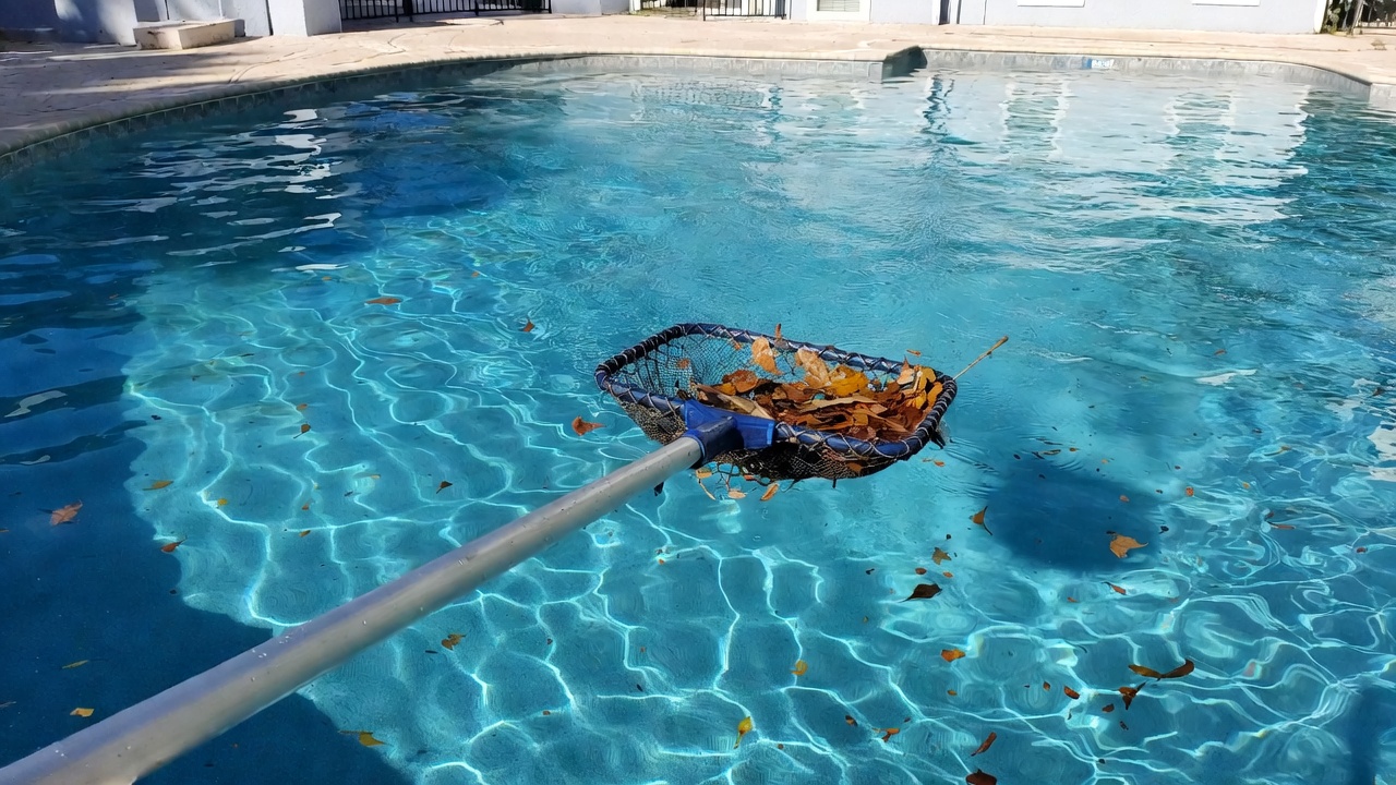 Leaf skimmer net cleaning debris from swimming pool surface in Florida